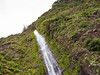 priproda_madeira_spurek.jpg